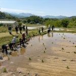 画像: 地域課題PBL・Eコース②「初SAKE祝杯プロジェクト」田植えフィールドワークを実施しました