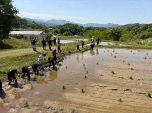 画像: 地域課題PBL・Eコース②「初SAKE祝杯プロジェクト」田植えフィールドワークを実施しました